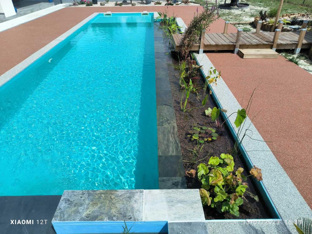 piscine-plantes