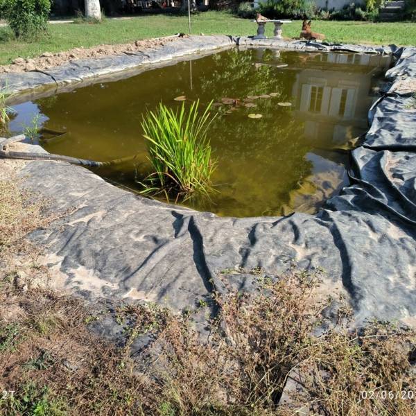 bassin